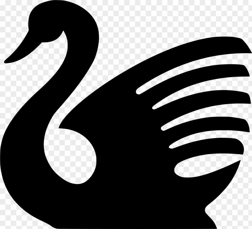 Blackandwhite Waterfowl Bird Line Drawing PNG