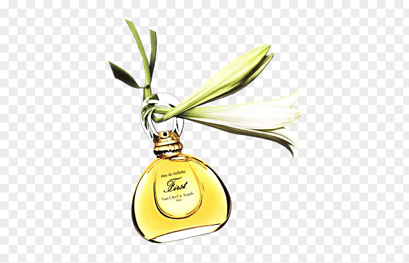 Luxury Perfume Van Cleef & Arpels Aldehyde Aroma Bergamot Orange PNG