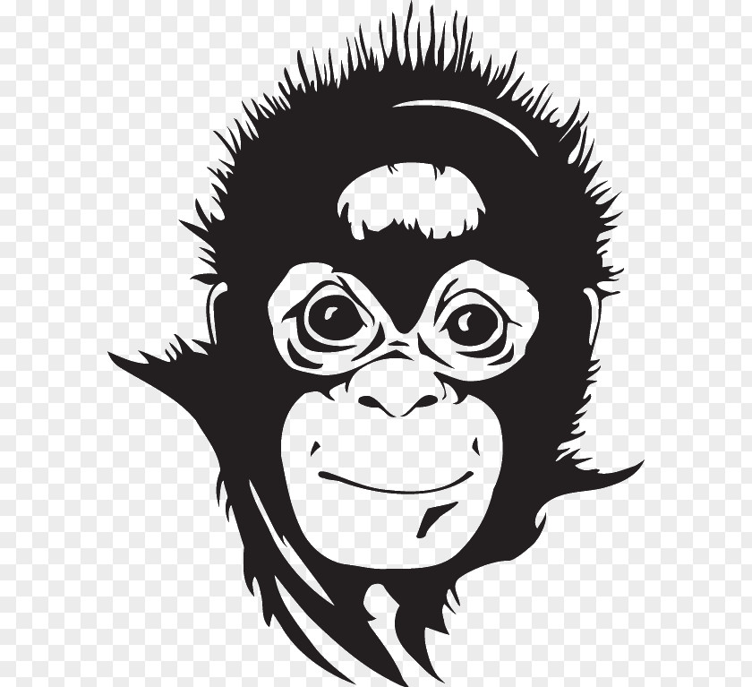 Orangutan Clip Art Monkey Decal Ape PNG