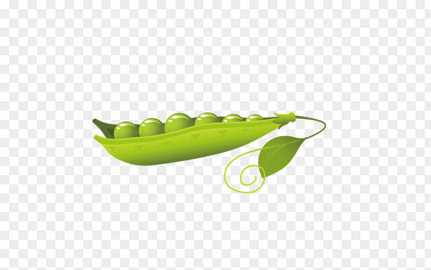 Peas Pea Euclidean Vector PNG