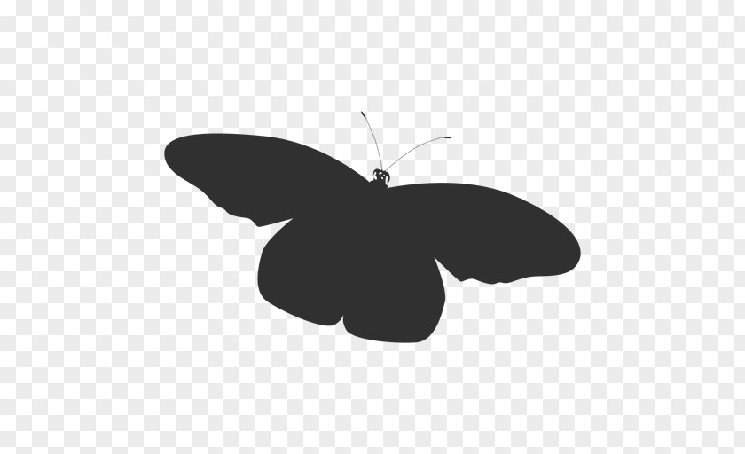 Silhouette Brush-footed Butterflies Butterfly Image PNG