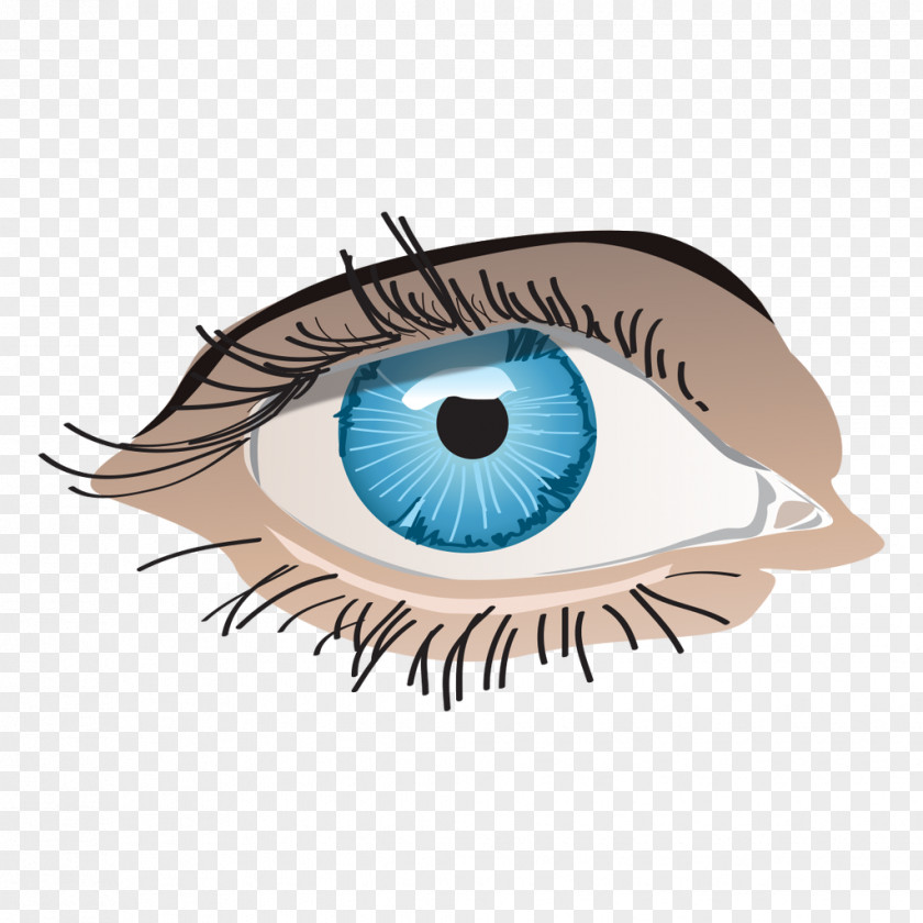Vector Blue Eyes Eye Euclidean PNG