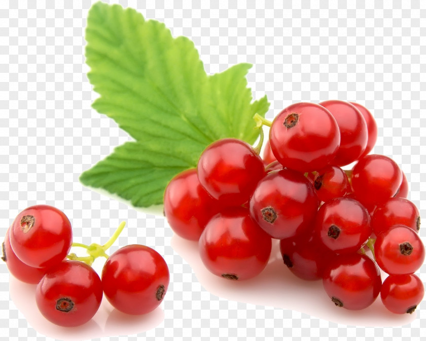 Berries Redcurrant Stock Photography Royalty-free Fruit PNG