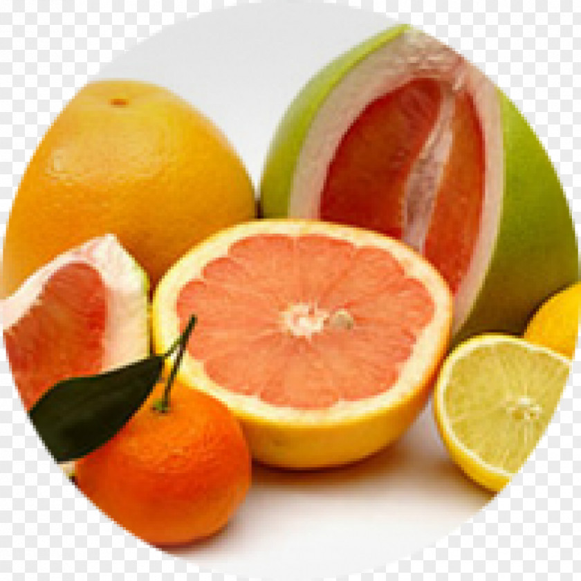 Grapefruit Abortion Teenage Pregnancy Miscarriage Vitamin PNG