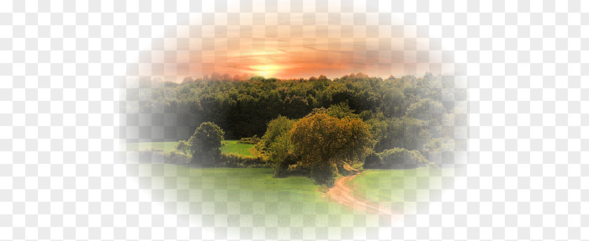 Landscape Painting LOFTER PNG