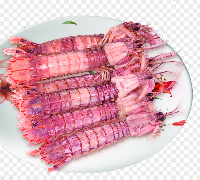 Mantis Shrimp Seafood PNG