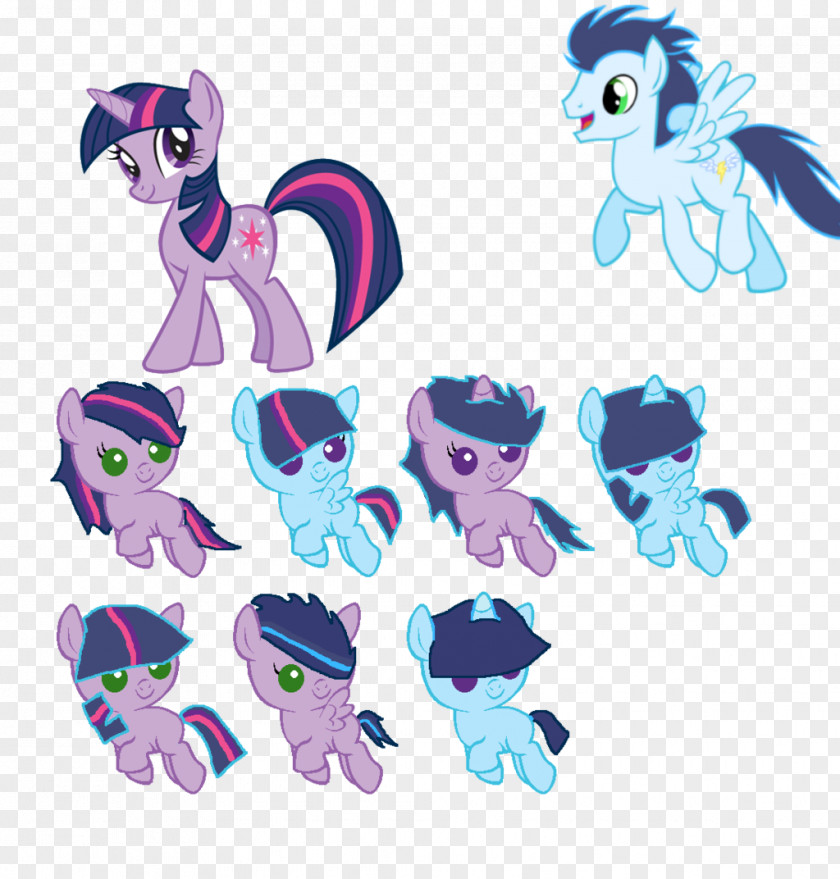 My Little Pony Twilight Sparkle Rainbow Dash Rarity PNG