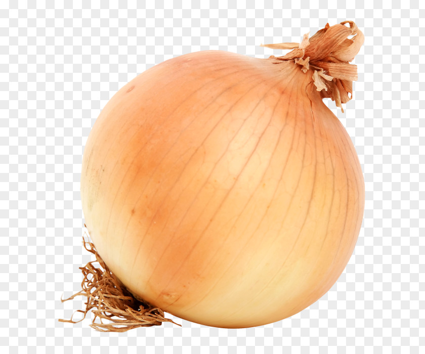 Vegetable Yellow Onion Red White PNG