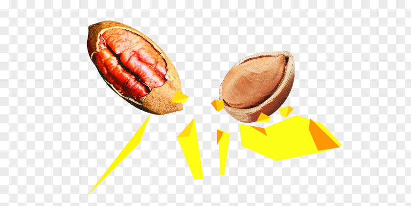 Walnut Pictures Hot Dog Pecan Junk Food Cuisine Of The United States PNG