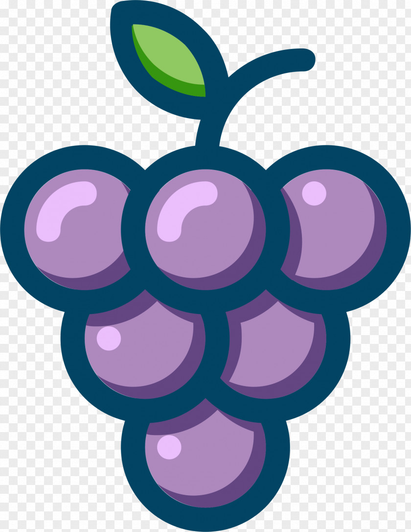 Wine Common Grape Vine Concord Muscadine PNG