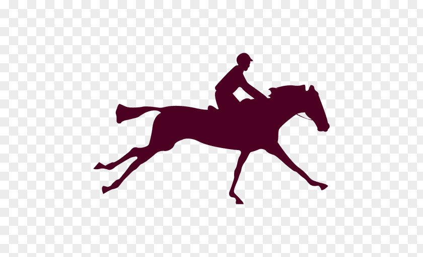 Animation Equestrian Flip Book Irish Sport Horse Cob PNG