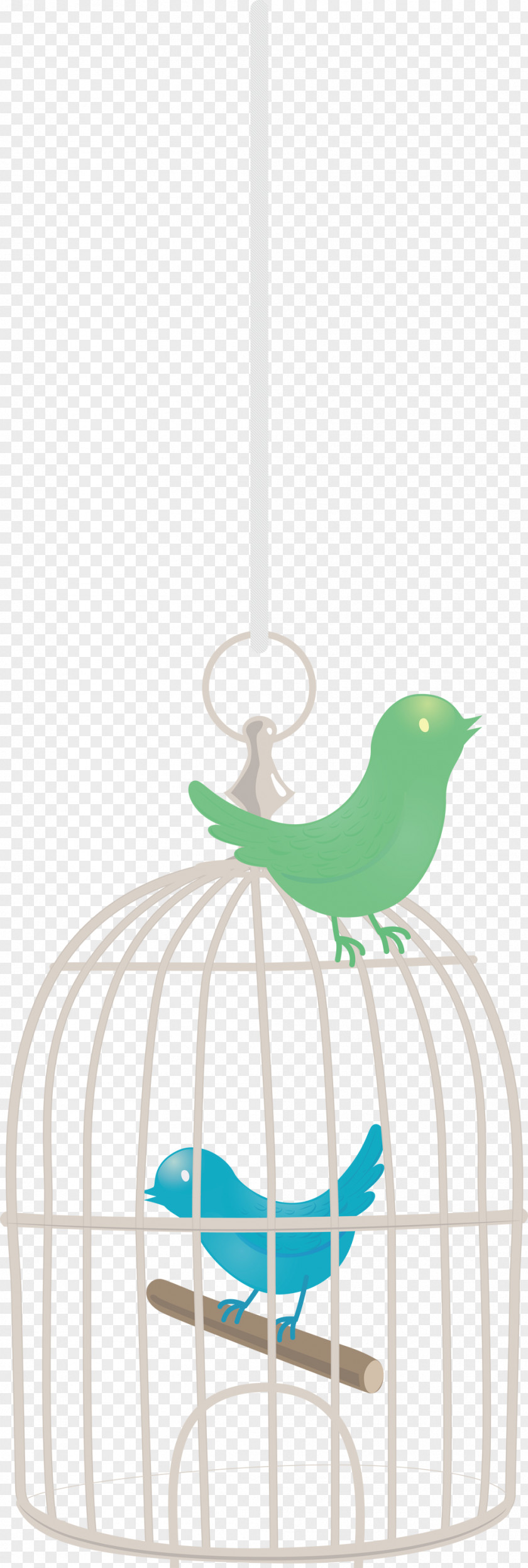 Bird Cage PNG