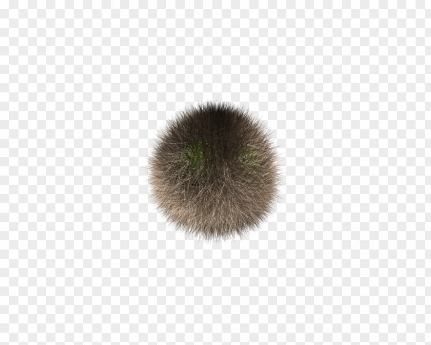 Fur FurryBall Rendering Toy PNG
