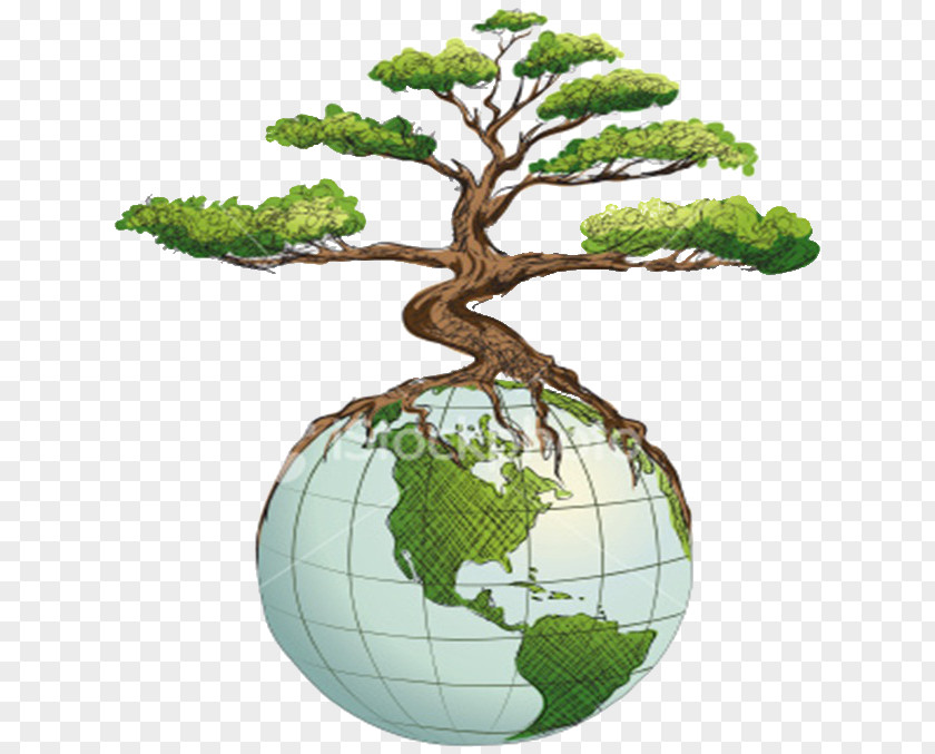 Holding Green Earth Tree Business Organization Drawing PNG