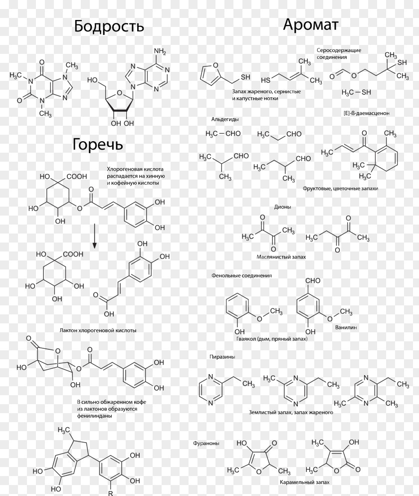 Line Art Document Point Angle PNG