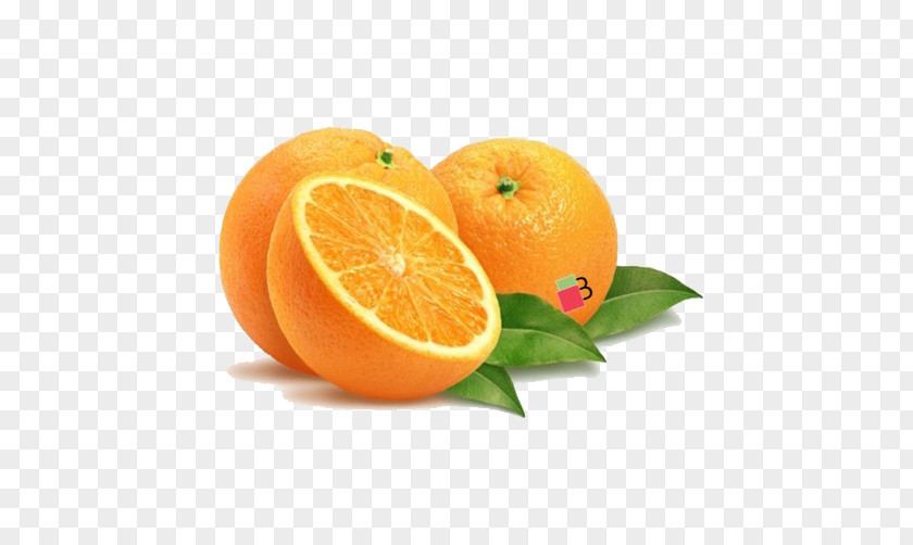 Orange Juice Grapefruit Vegetable PNG