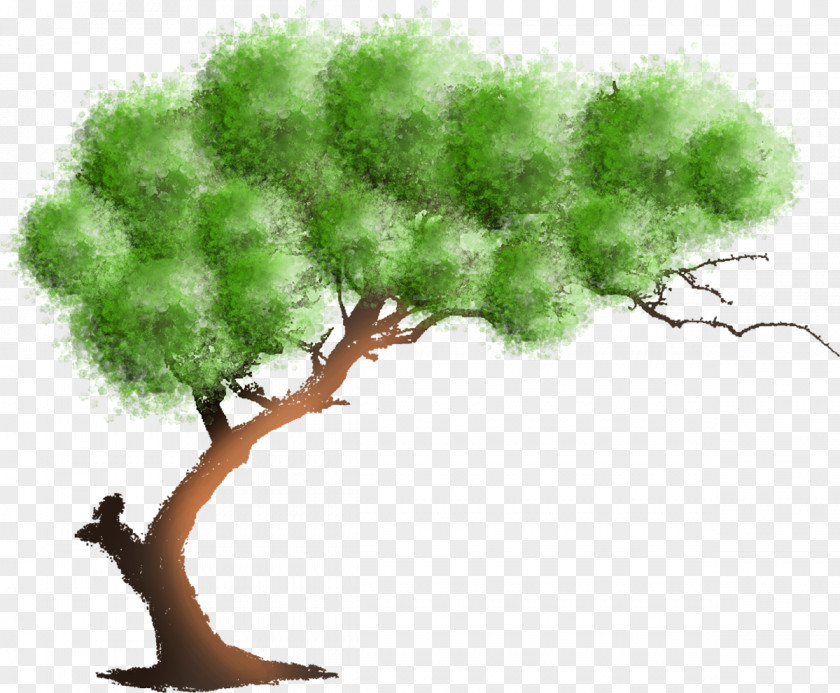 Design Wall Decal Painting Tree PNG