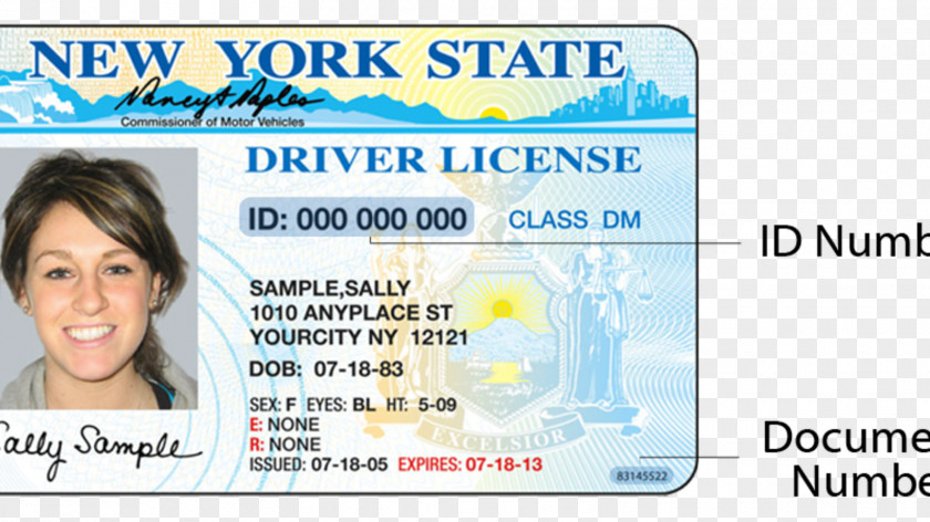 Driving New York Identity Document Driver's License Department Of Motor Vehicles PNG
