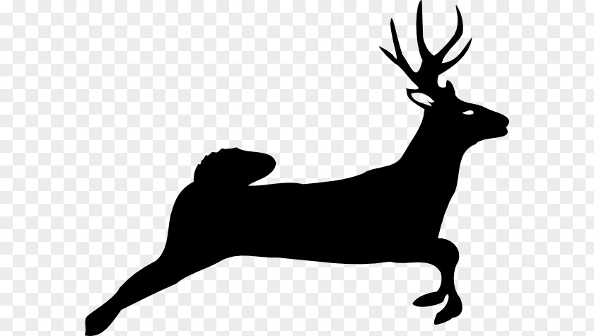 Free Deer Silhouette White-tailed Reindeer Clip Art PNG