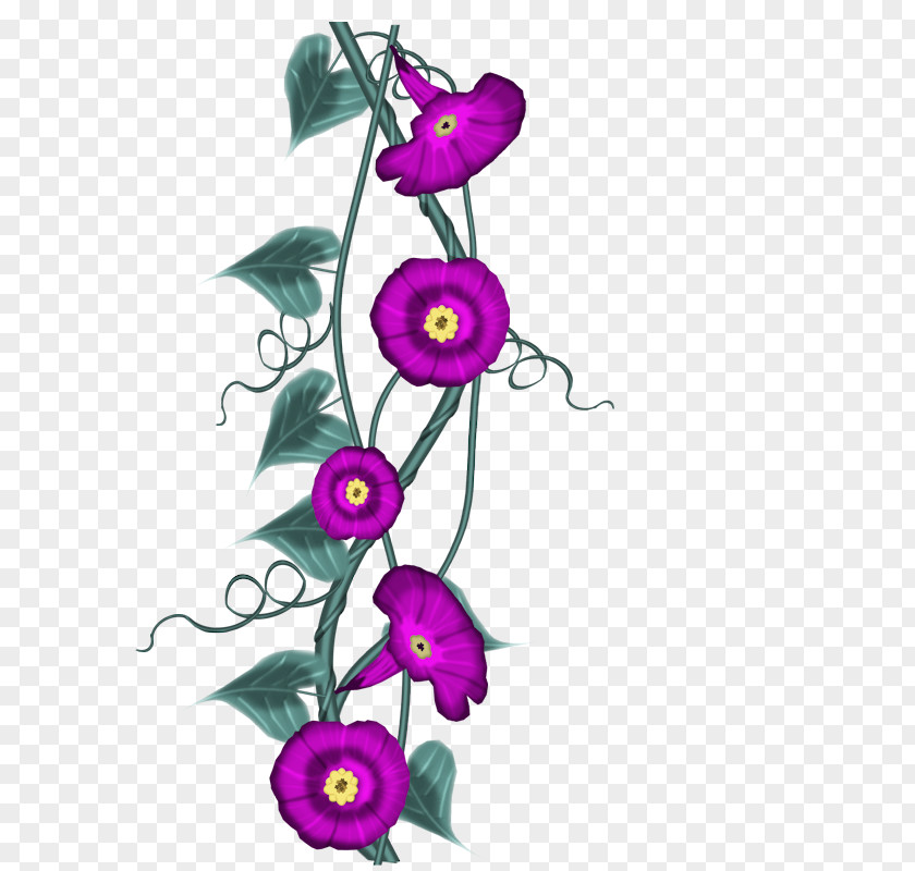 Boarders Flower Clip Art Blog Image PNG