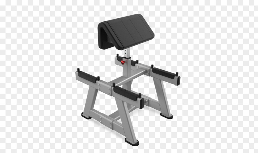 Disturbance Of Flies While Standing Bench Biceps Curl Star Trac Exercise Equipment Bikes PNG