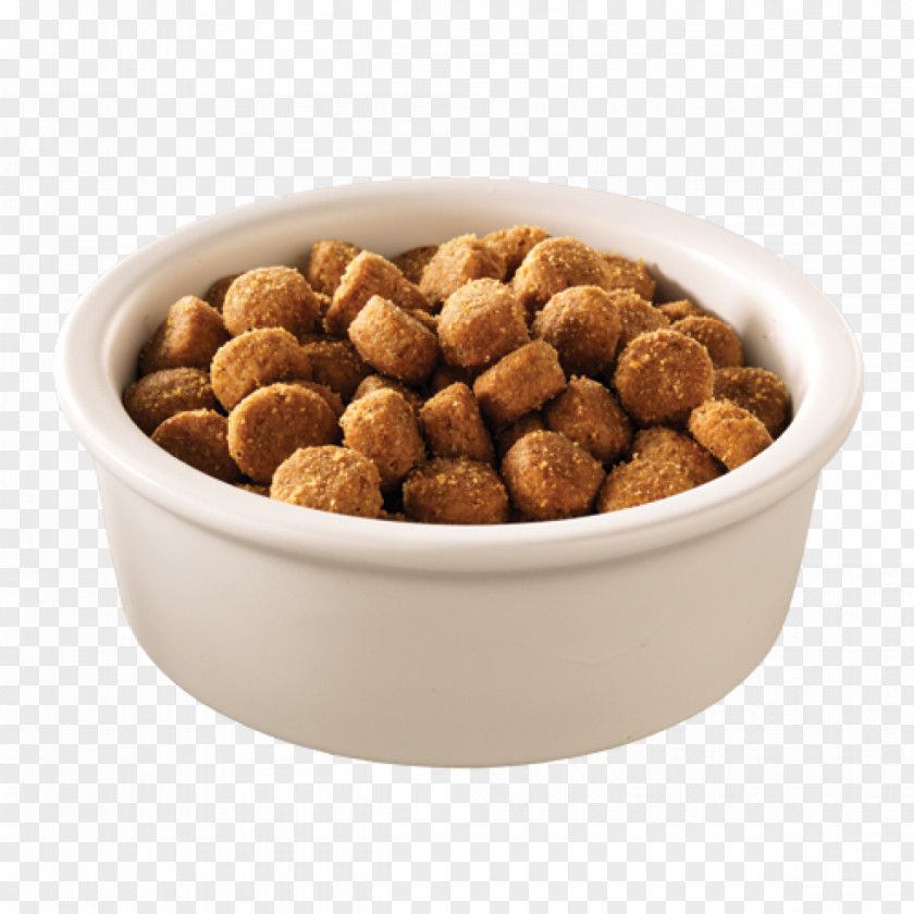Dog Food Puppy Cat Science Diet PNG