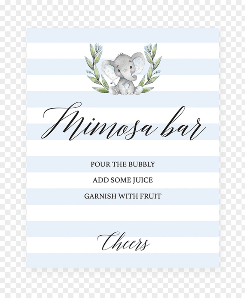 Table Baby Shower Mimosa Diaper Party PNG