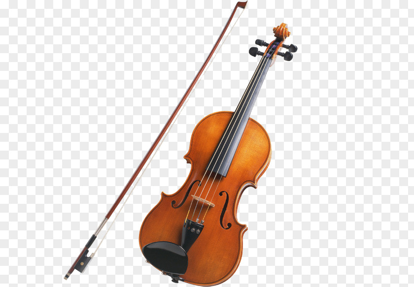 Violin String Instruments Musical Viola Family PNG