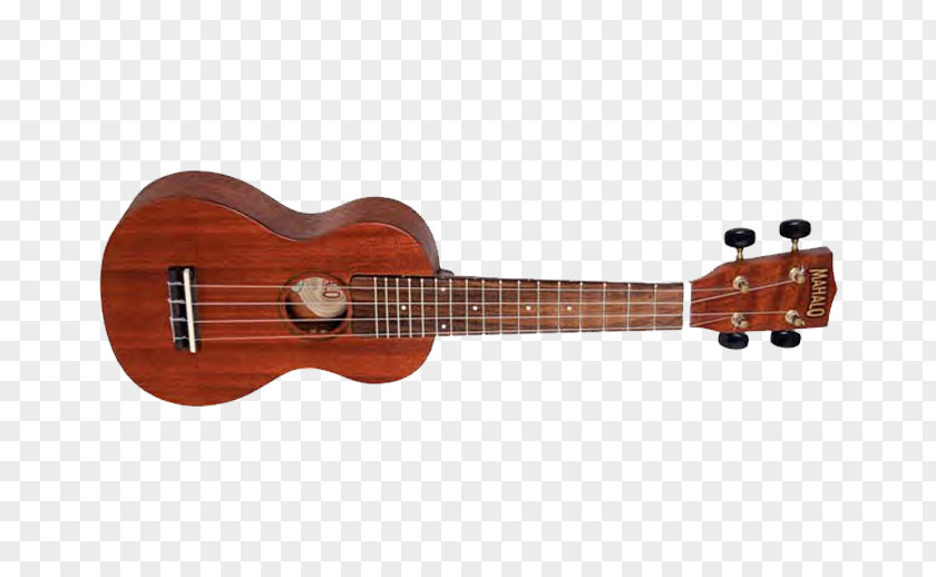 Acoustic Guitar Ukulele Bass Cuatro PNG