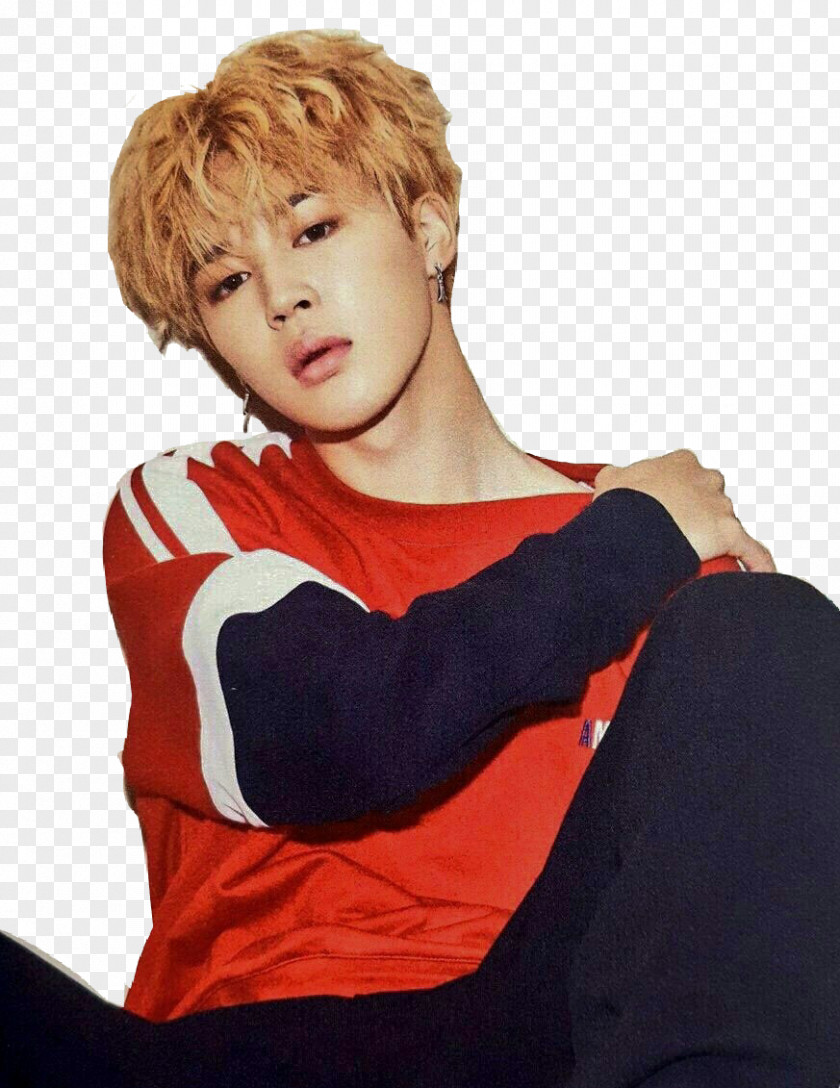 BTS DNA Blood Sweat & Tears Love Yourself: HerOthers Jimin COMEBACK SHOW PNG