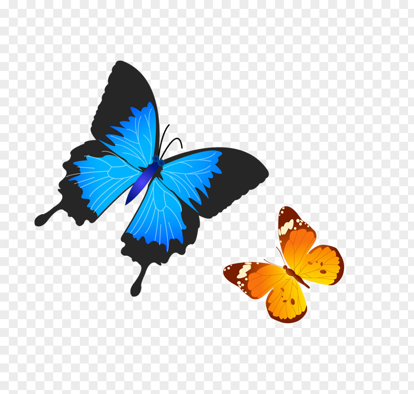 Butterfly Samsung Galaxy Tab E 9.6 A5 (2017) (2016) S7 IPhone SE PNG