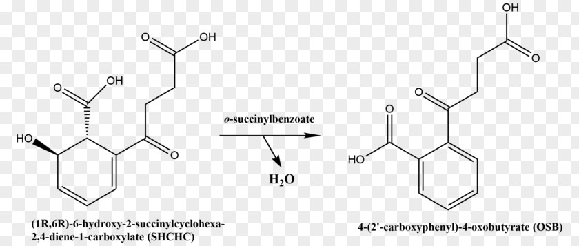 Chemical Reaction Metabolite KEGG Structure Saquayamycins Disease PNG