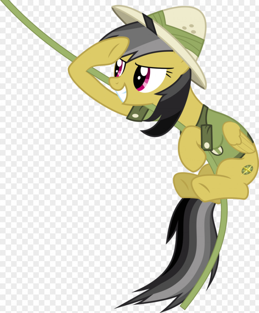 Daring Do My Little Pony: Equestria Girls Twilight Sparkle Don't Rainbow Dash PNG