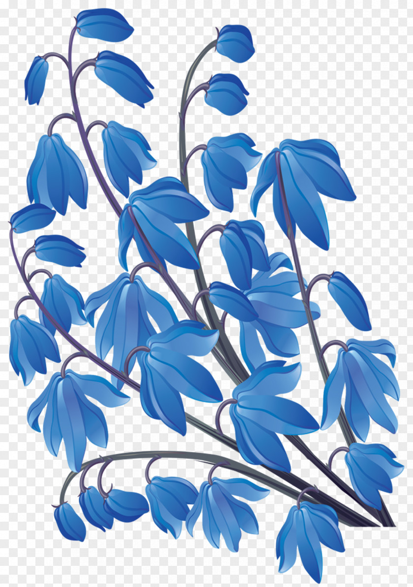 Flower Floral Design PNG