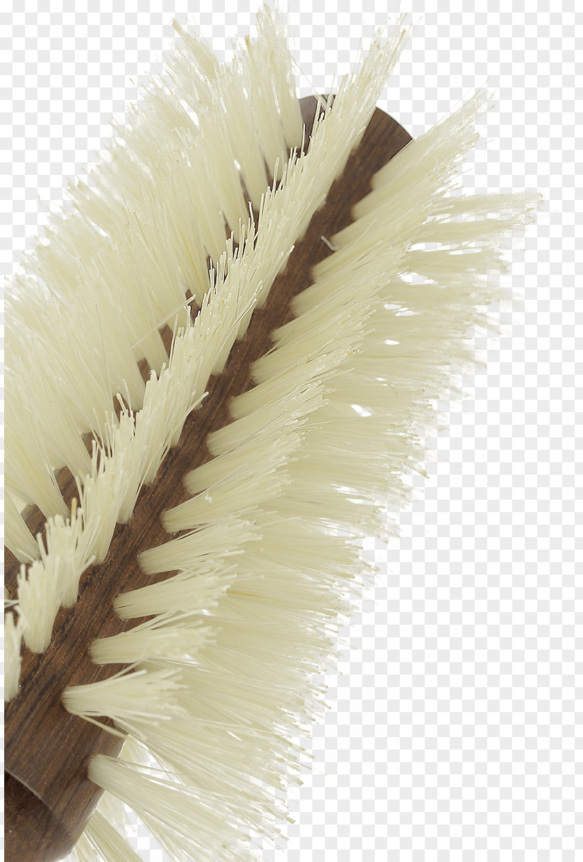 Hairbrush Wild Boar Bristle PNG
