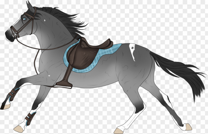 Mustang Mane Pony Stallion Rein PNG