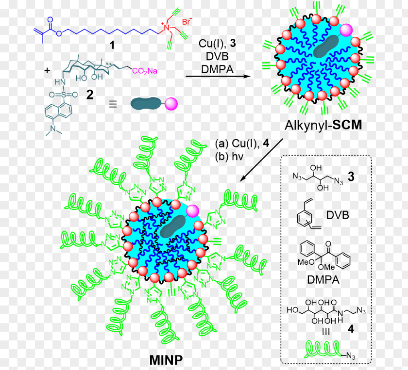 Particle Chemistry Nanoparticle Protein Micelle Molecule Hydrophobic Effect PNG