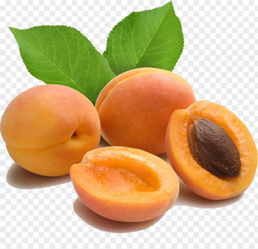 Apricot Kernel Amygdalin Oil PNG