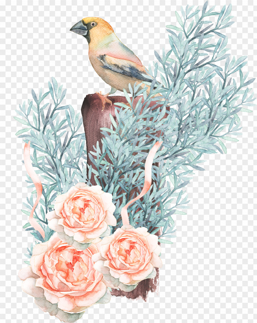 Birds And Flowers Bird Watercolor Painting Drawing Flower PNG