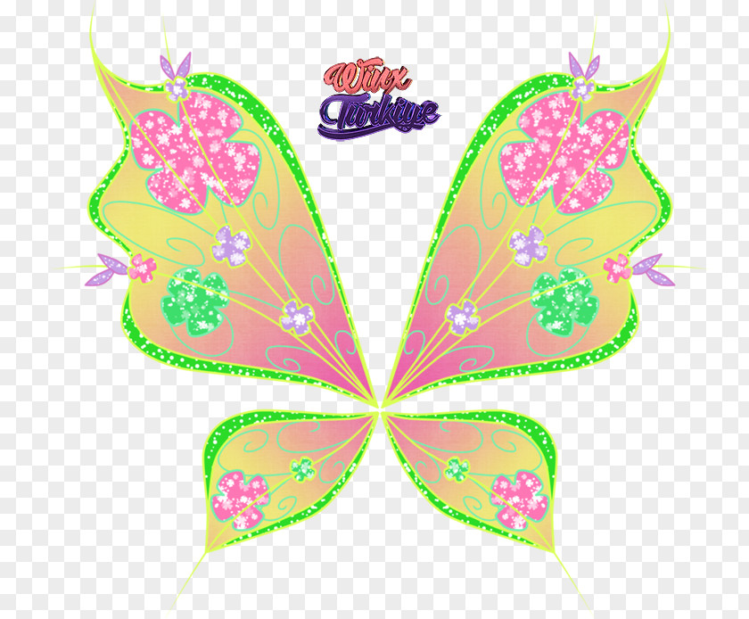 Butterfly Brush-footed Butterflies Pattern PNG