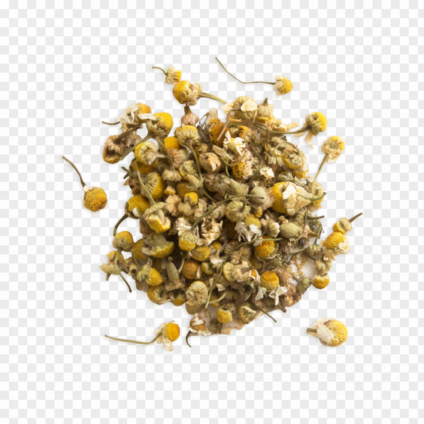 Chamomile Green Tea Cream Celestial Seasonings Herb PNG
