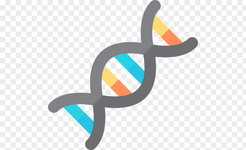 Dna Structure DNA Nucleic Acid Double Helix Genome Genetics Clip Art PNG