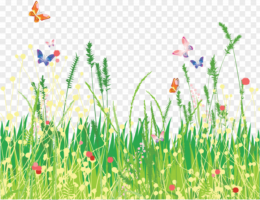 Green Grass Paper Room PNG