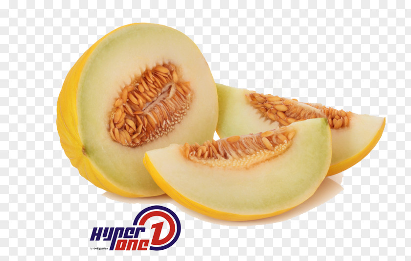 Melon Honeydew Canary Cantaloupe Watermelon PNG