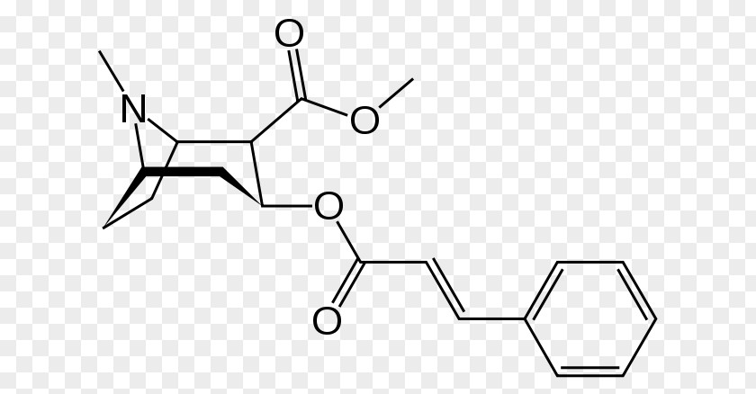 Methylecgonine Cinnamate Tropane Alkaloid Cocaethylene Erythroxylum Coca PNG