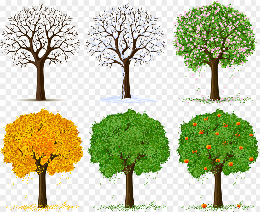 Spring Tree Silhouette Clip Art PNG