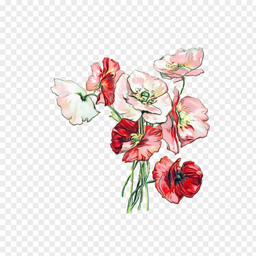 Sweet Pea Petal Flower Cut Flowers Plant Bouquet Pink PNG