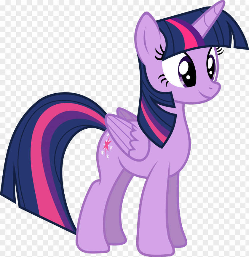 Twilight Sparkle Pony Pinkie Pie PNG