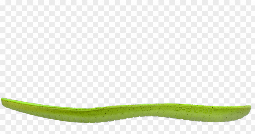 Vegetable PNG