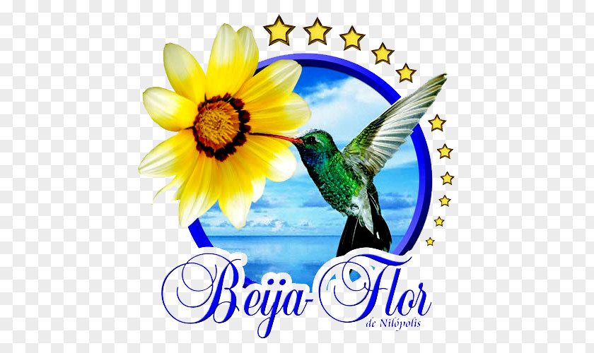 Beija-Flor Logo Symbol PNG